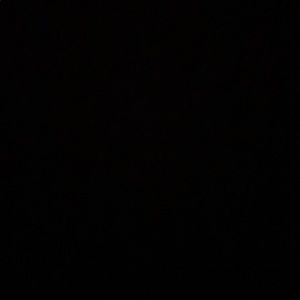 Meet your Posher, Jade